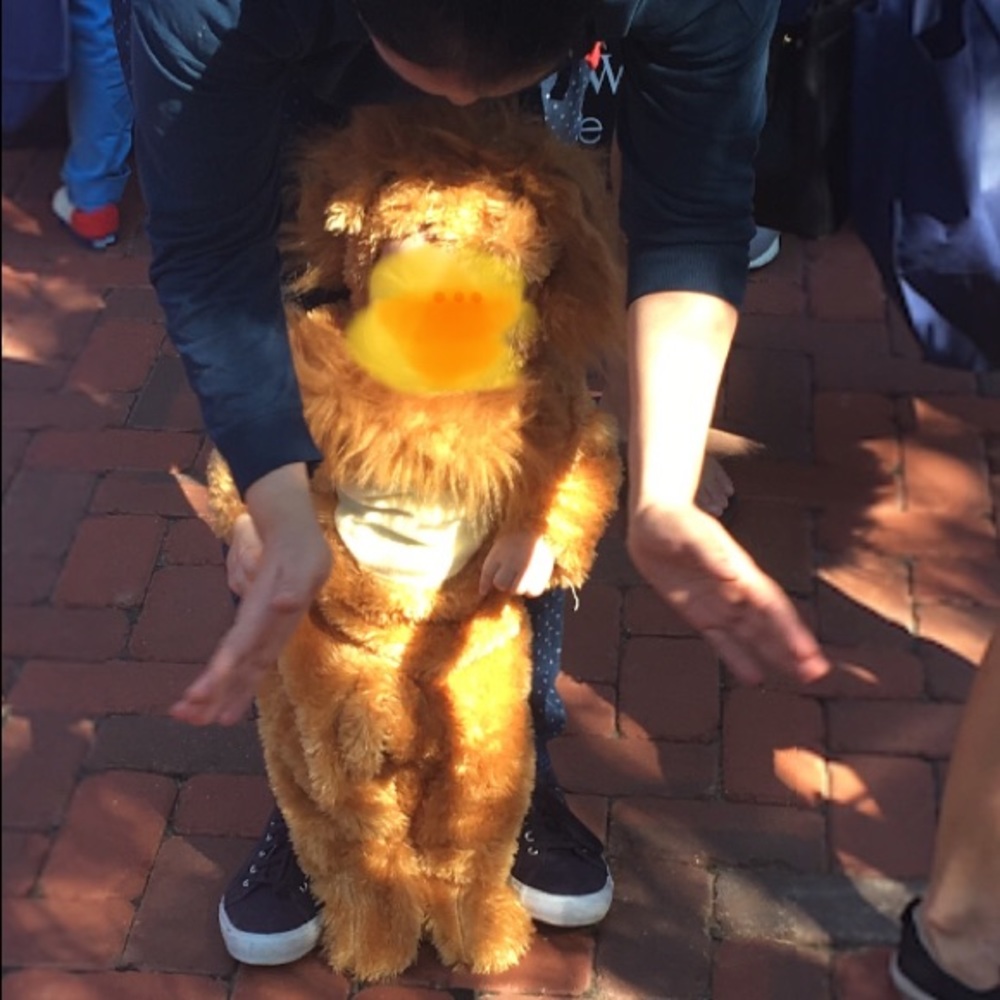 Cute lion costume. - Picture 2 of 3
